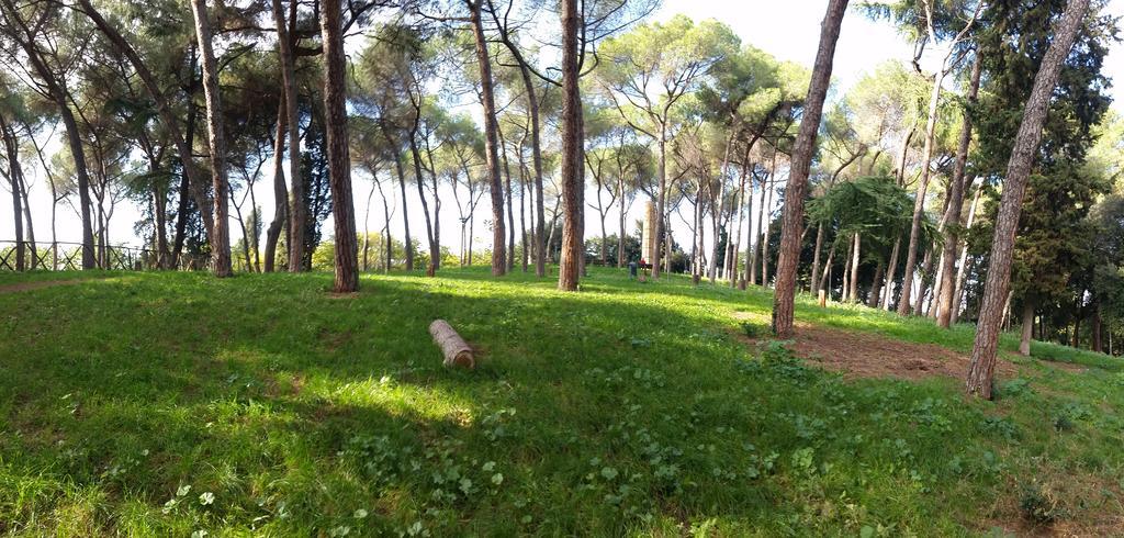 Holiday Home Roma * Rom